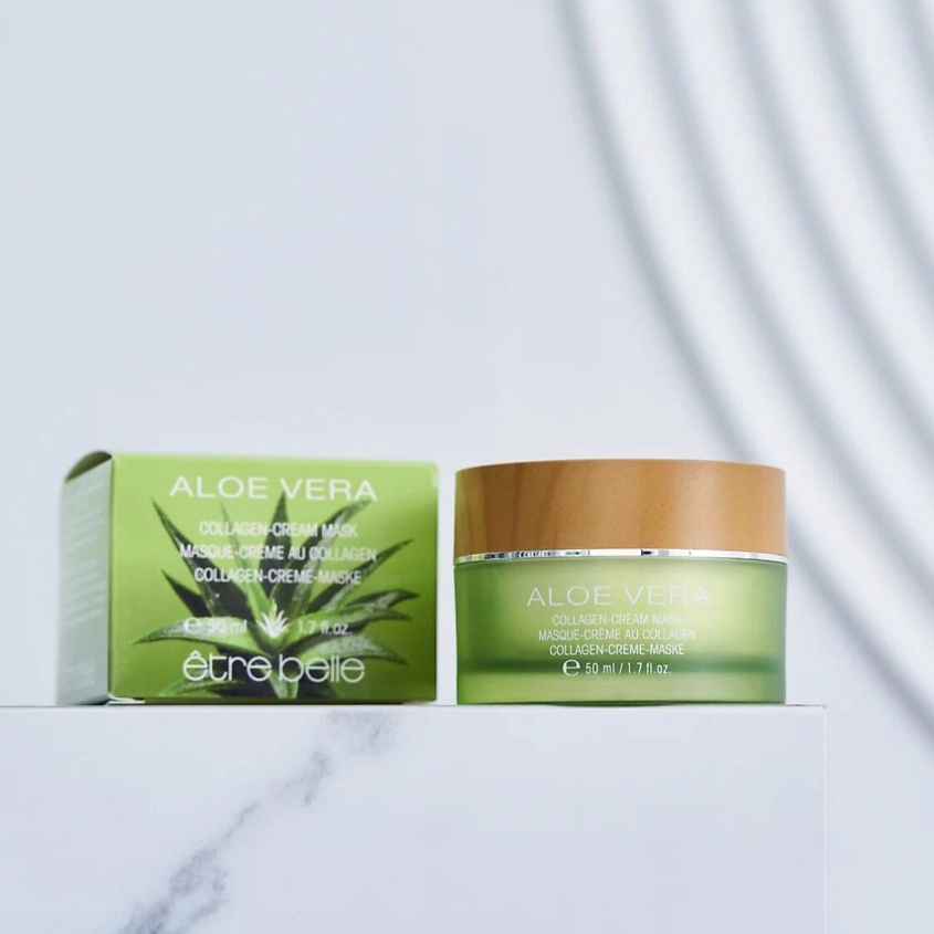 where can i buy aloe vera plant near me Aloe Vera Plant For Sale, Full Care Guide & Plant Insights Medium / Eco Pot / Chai main image 0