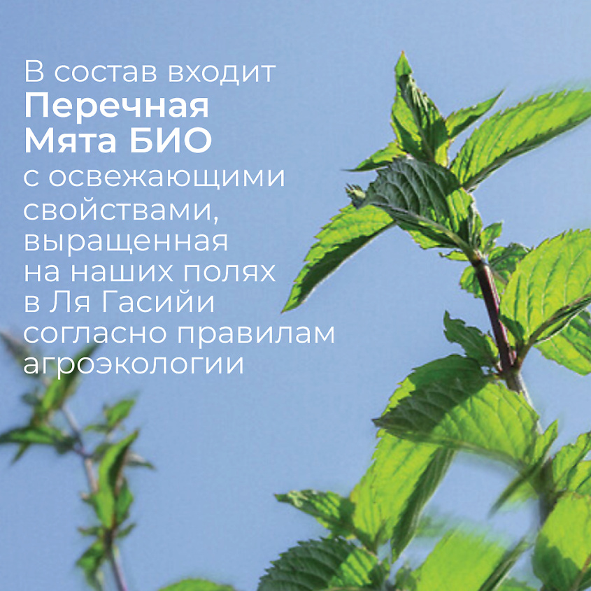 YVES ROCHER Гоммаж для лица очищающий с перечной мятой БИО – фото 8