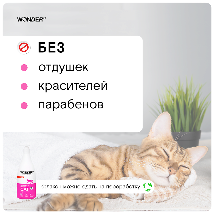 WONDER LAB Шампунь для мытья кошек и котят без запаха – фото 2
