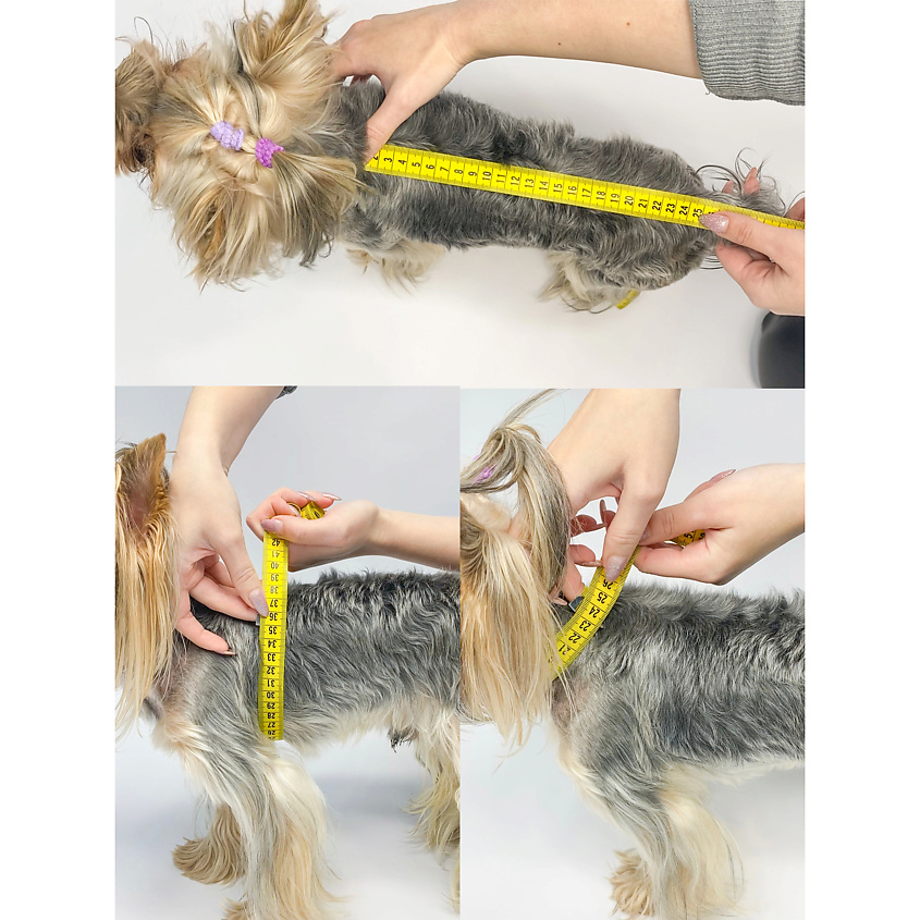 YORIKI Дождевик для собак Лаванда, девочка, сиреневый – фото 2