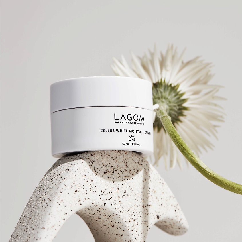 LAGOM Увлажняющий крем с White Moisture Cream – фото 3
