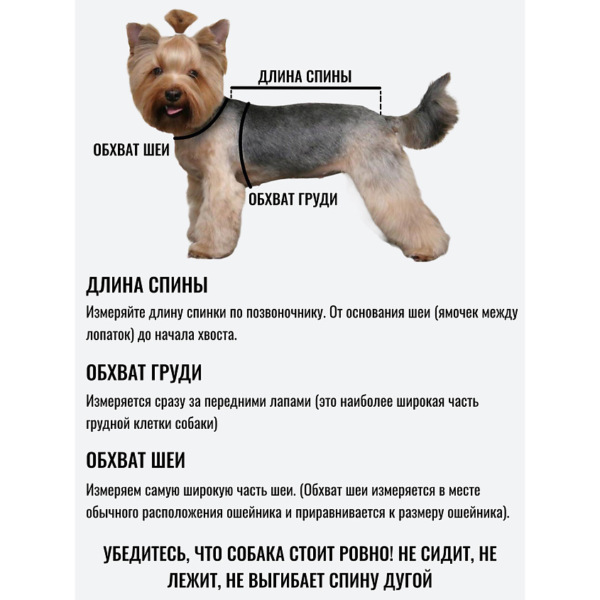 YORIKI Дождевик для собак Лаванда, девочка, сиреневый – фото 5