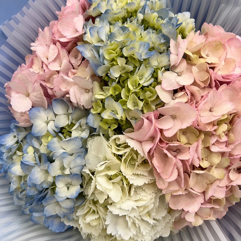 ЛЭТУАЛЬ FLOWERS Букет  цветов из гортензии 5 шт – фото 2