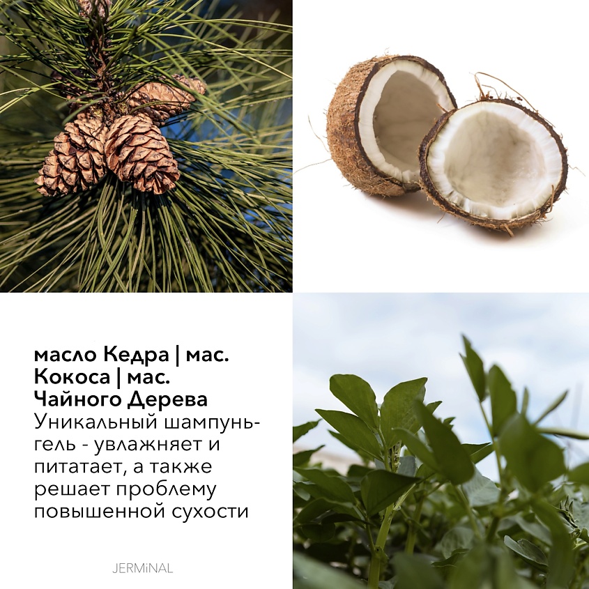 JERMINAL COSMETICS Парфюмированный шампунь для волос и тела Сила Древесины – фото 9