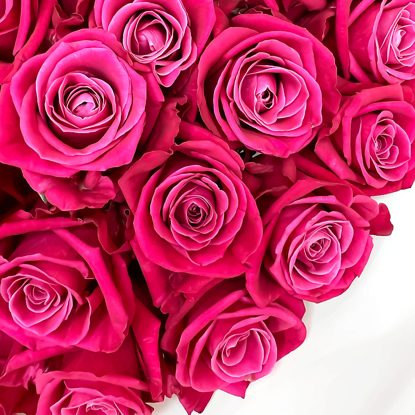 ЛЭТУАЛЬ FLOWERS Букет из розовых роз 19 шт / букет роз/ красивый букет – фото 4