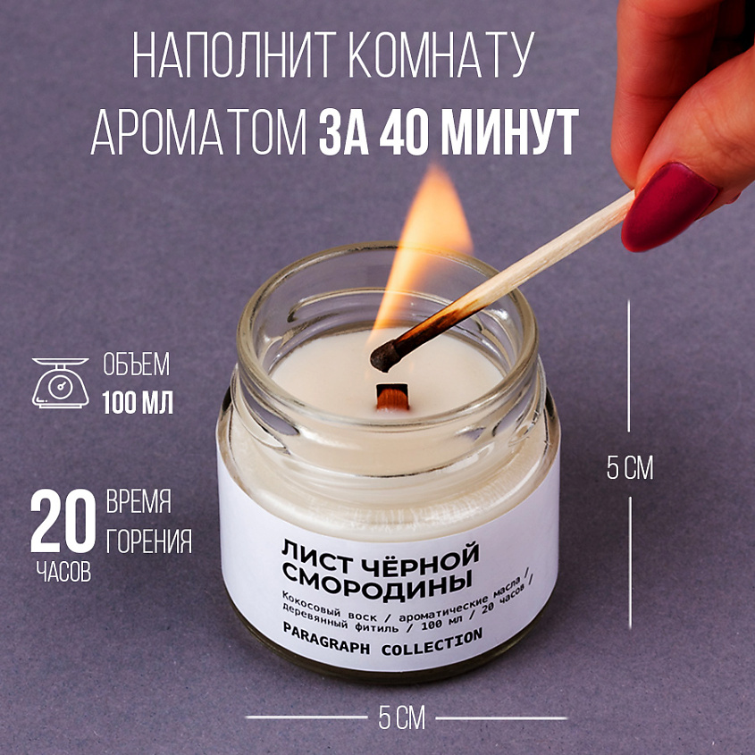 PARAGRAPH COLLECTION Свеча ароматическая "Лист чёрной смородины" – фото 4