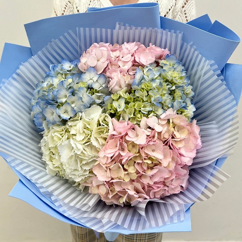 ЛЭТУАЛЬ FLOWERS Букет  цветов из гортензии 5 шт – фото 1