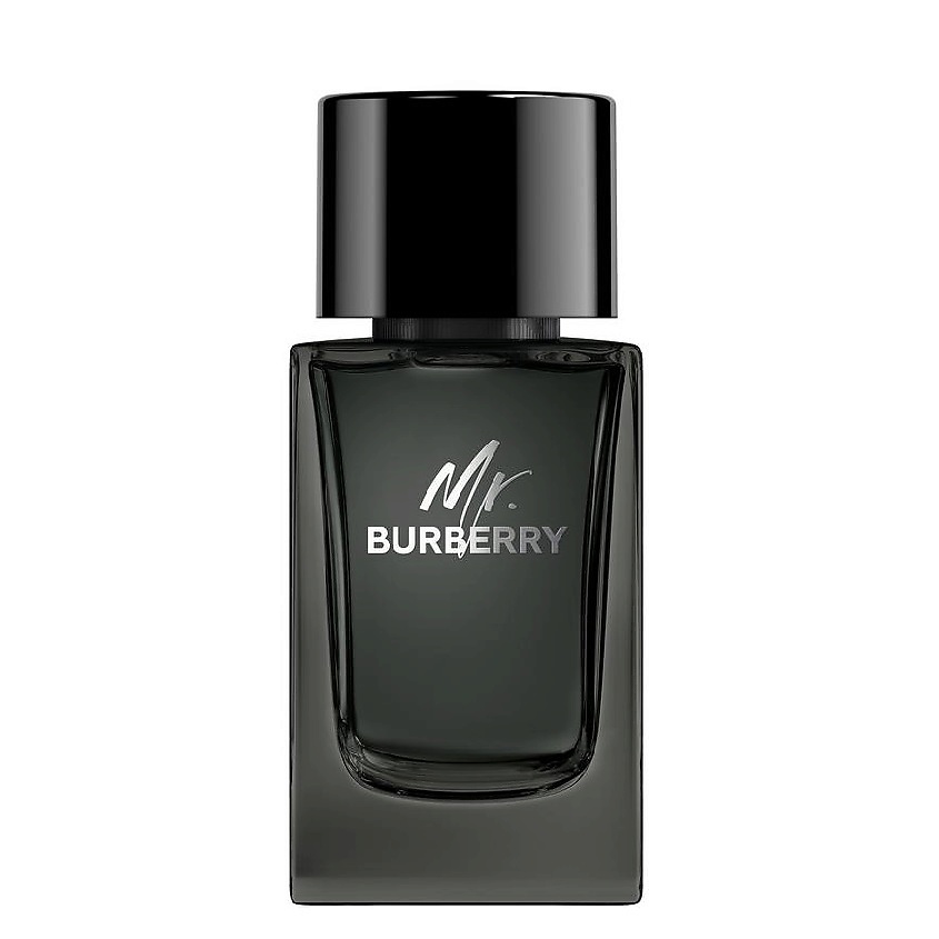 BURBERRY Mr. Burberry Eau de Parfum – фото 1