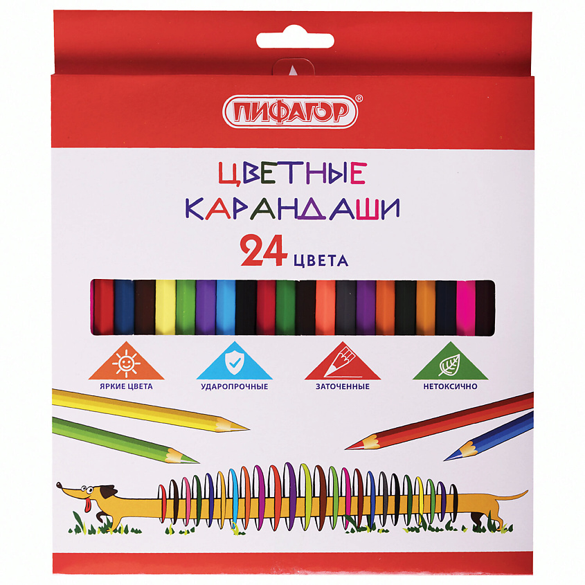 ПИФАГОР Карандаши цветные Веселая такса – фото 1