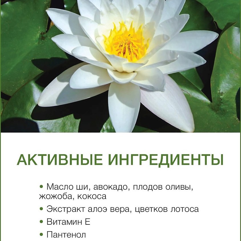 THAI TRADITIONS Лосьон для тела увлажняющий и питательный,  Лотос – фото 3