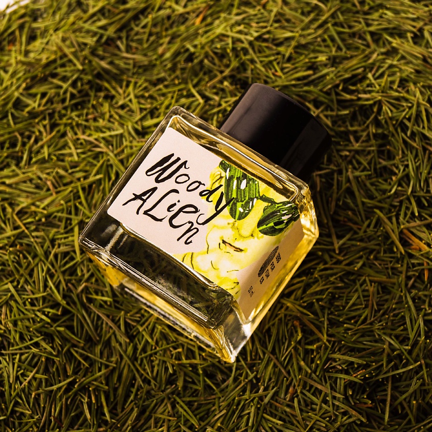1339 PERFUMES Аромадиффузор Woody Alien – фото 12
