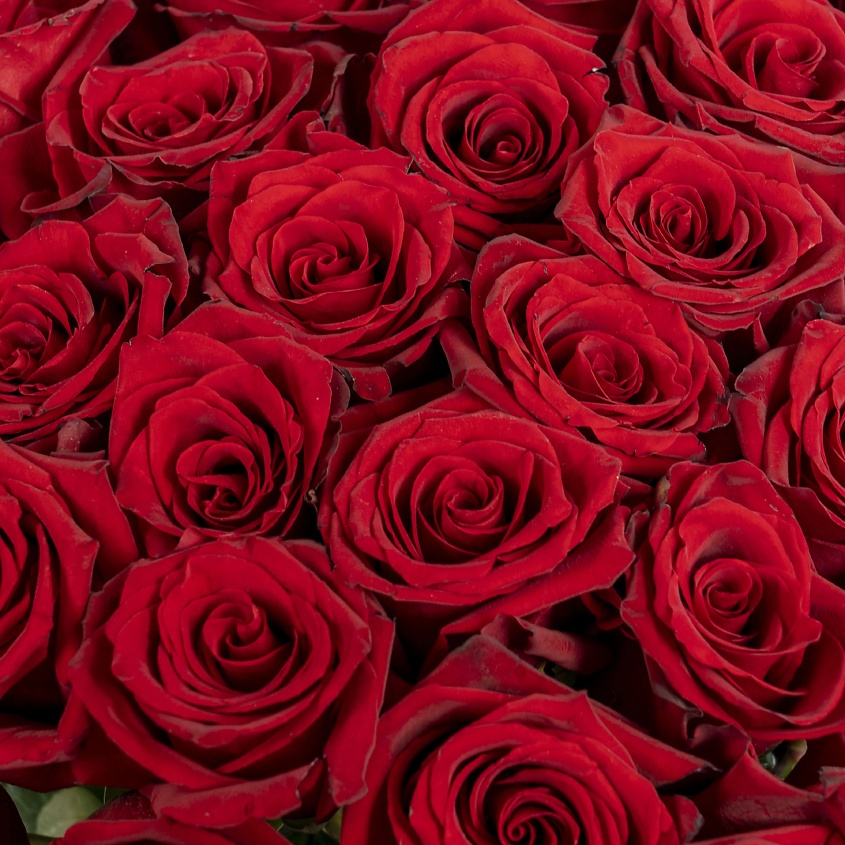 ЛЭТУАЛЬ FLOWERS Букет из высоких красных роз Эквадор 19 шт. (70 см) – фото 4