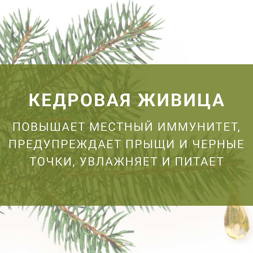LENEL':SDELANOVSIBIRI Крем с кедровой живицей для лица  восстановление – фото 2