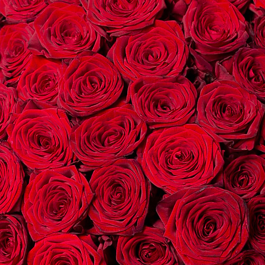 ЛЭТУАЛЬ FLOWERS Букет из бордовых роз 51 шт. (40 см) – фото 5