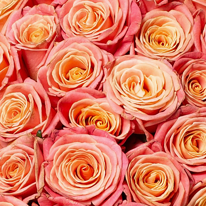 ЛЭТУАЛЬ FLOWERS Букет из персиковых роз 25 шт. (40 см) – фото 3