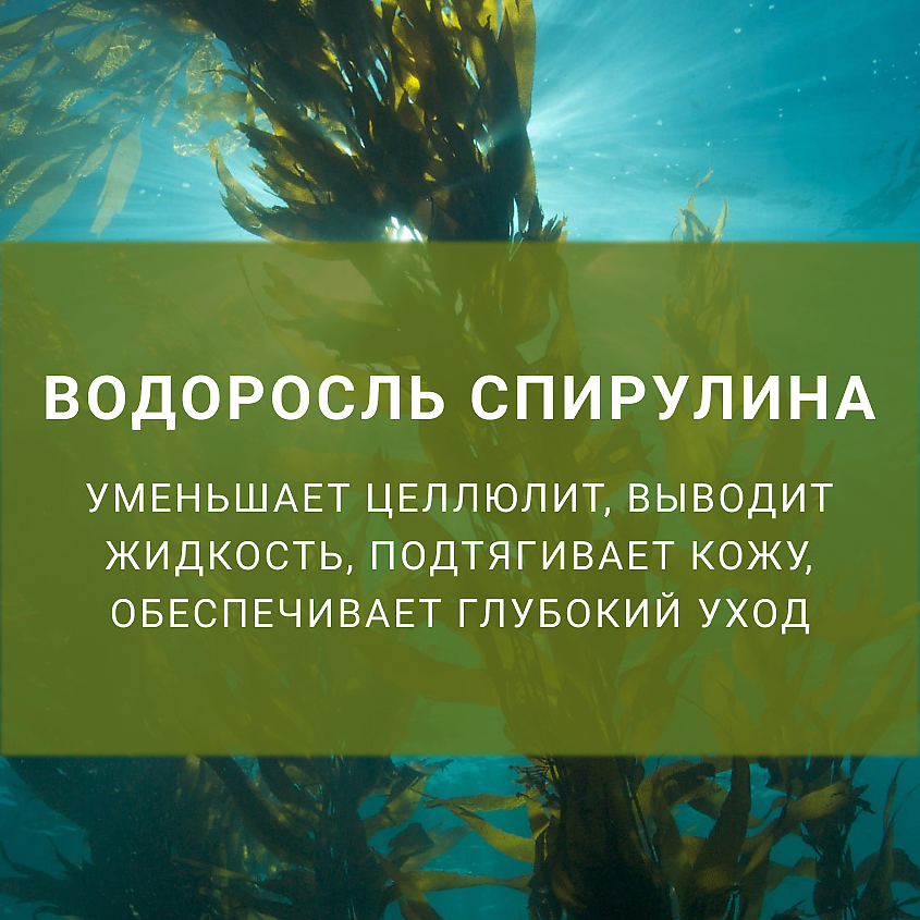 LENEL':SDELANOVSIBIRI Антицеллюлитное масло   против возрастных изменений – фото 2