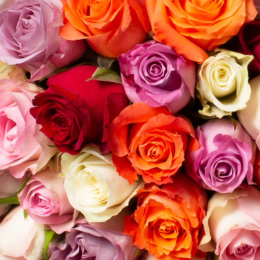 ЛЭТУАЛЬ FLOWERS Flowers Букет из разноцветных роз Кения 71 шт. (35 см) – фото 2