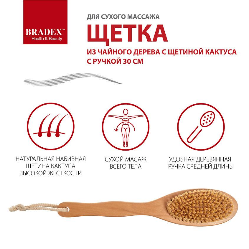 BRADEX Щётка для сухого массажа из чайного дерева с щетиной кактуса с ручкой – фото 8