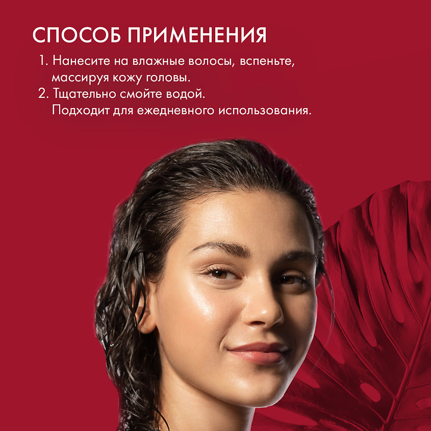 SKINPHORIA Шампунь укрепляющий и восстанавливающий, против выпадения волос Anti Hair-Loss, 400 мл – фото 2