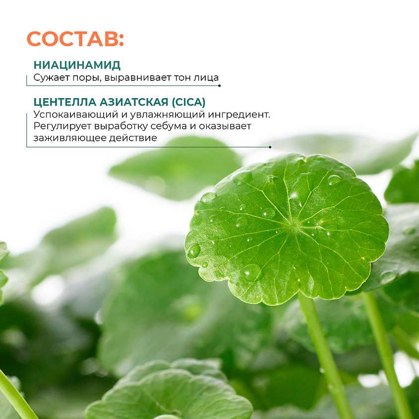 P.CALM Высоконцентрированная ампула с центеллой азиатской Porsica Ampoule – фото 5