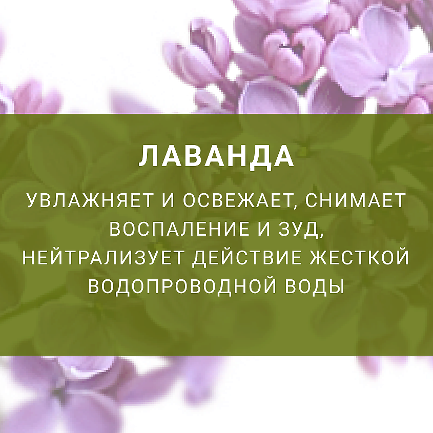 LENEL':SDELANOVSIBIRI Гидролат лаванды  для восстановления кожи – фото 2