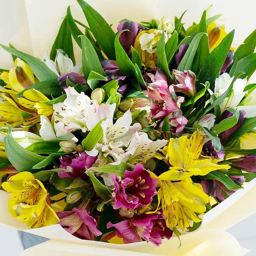 ЛЭТУАЛЬ FLOWERS Букет из Альстромерии 25 шт. – фото 3