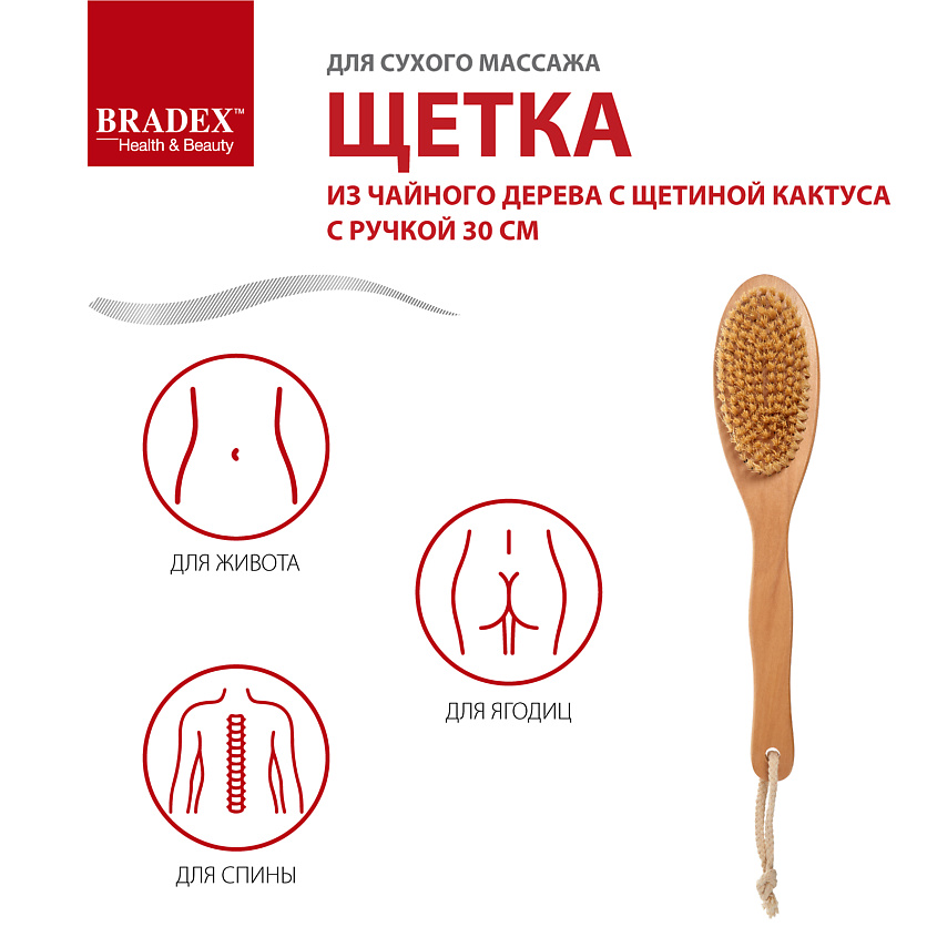BRADEX Щётка для сухого массажа из чайного дерева с щетиной кактуса с ручкой – фото 2