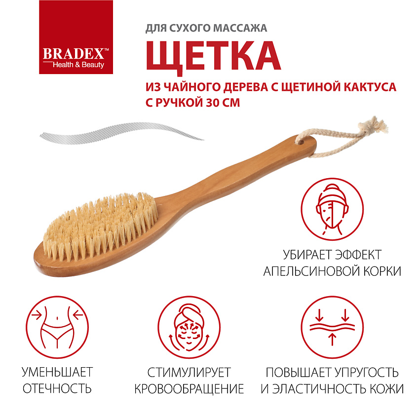 BRADEX Щётка для сухого массажа из чайного дерева с щетиной кактуса с ручкой – фото 6