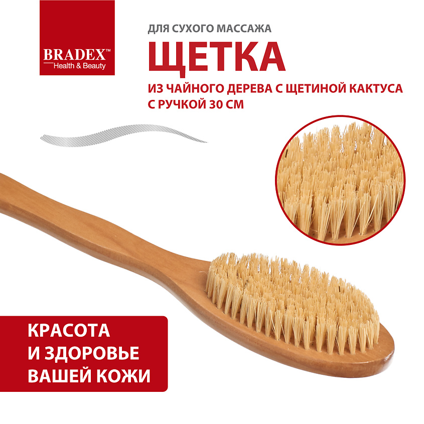 BRADEX Щётка для сухого массажа из чайного дерева с щетиной кактуса с ручкой – фото 7