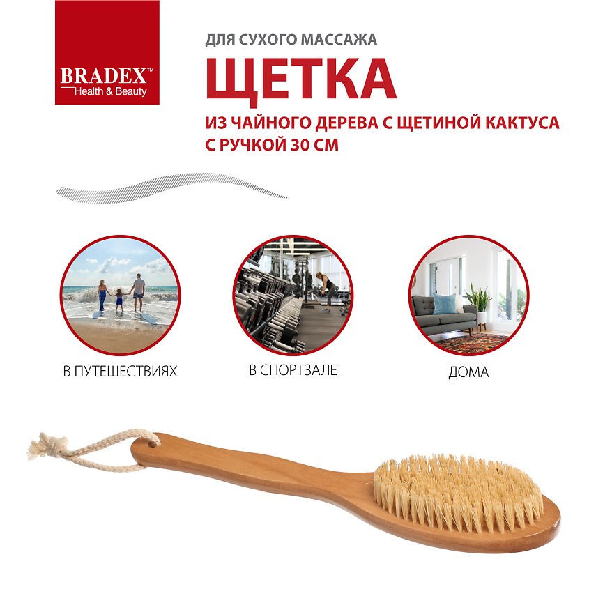 BRADEX Щётка для сухого массажа из чайного дерева с щетиной кактуса с ручкой – фото 4