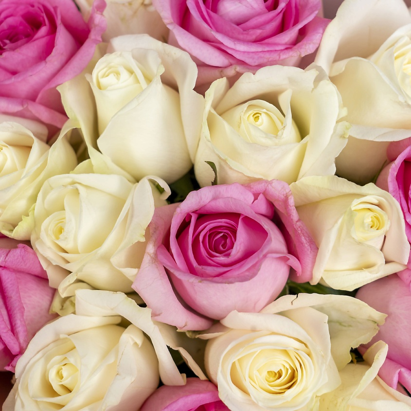 ЛЭТУАЛЬ FLOWERS Букет из белых и розовых роз Россия 19 шт. (40 см) – фото 5