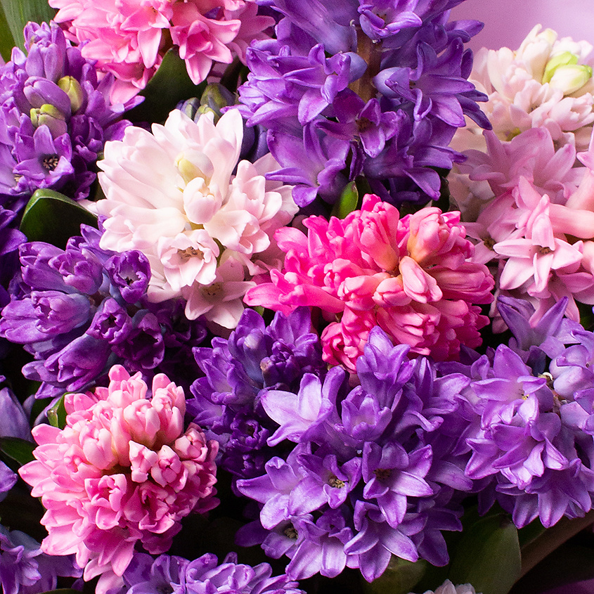 ЛЭТУАЛЬ FLOWERS Букет из гиацинтов 25 шт. – фото 4