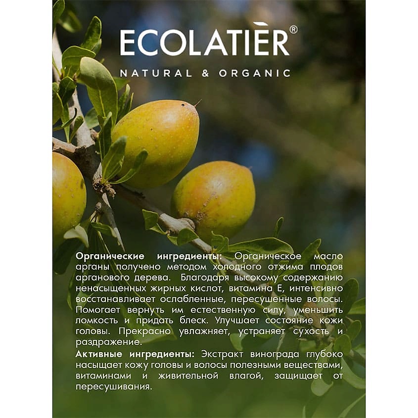 ECOLATIER Шампунь-бальзам для волос 2 в 1 ORGANIC ARGANA – фото 5