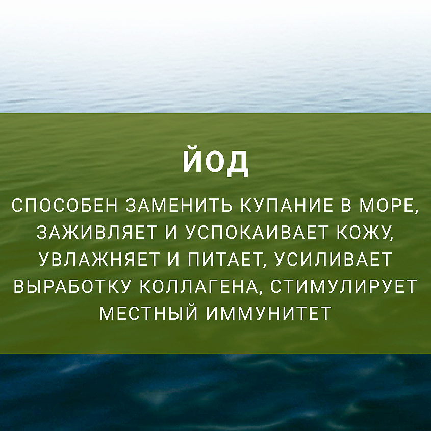 LENEL':SDELANOVSIBIRI Крем для тела "Skin Health by sea power" регенерация кожи – фото 2