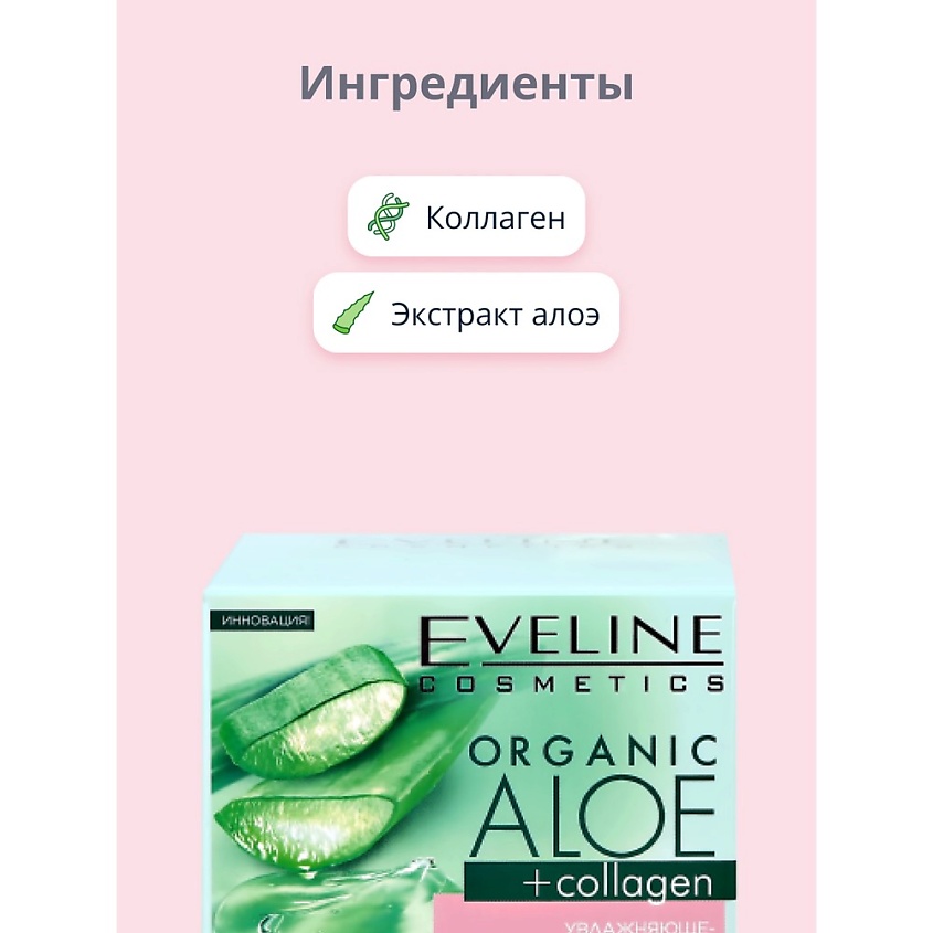 EVELINE -   -  +      289