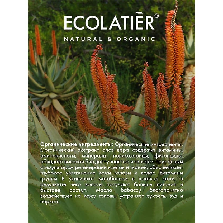 ECOLATIER GREEN Шампунь-скраб для волос и кожи головы ОЧИЩЕНИЕ & ДЕТОКС ORGANIC ALOE VERA – фото 5