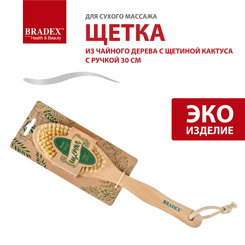 BRADEX Щётка для сухого массажа из чайного дерева с щетиной кактуса с ручкой – фото 3