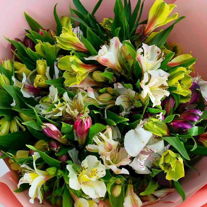 ЛЭТУАЛЬ FLOWERS Букет из Альстромерии 19 шт. – фото 3