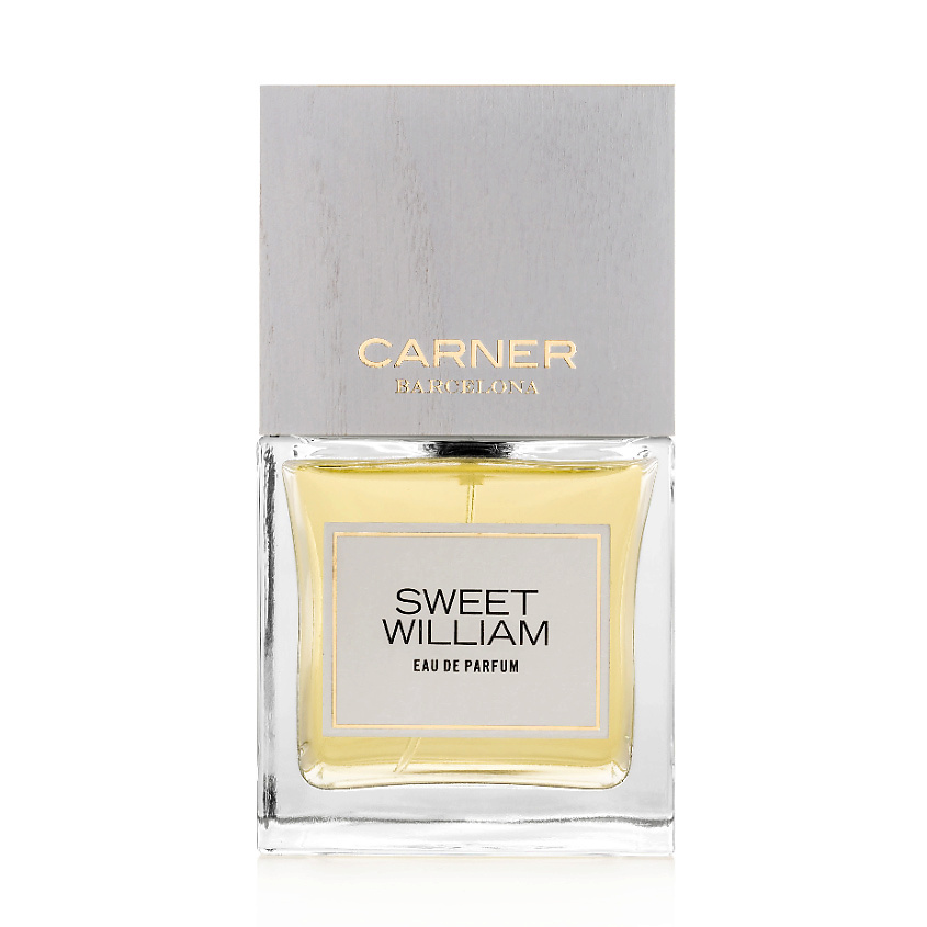 CARNER BARCELONA Sweet William – фото 2