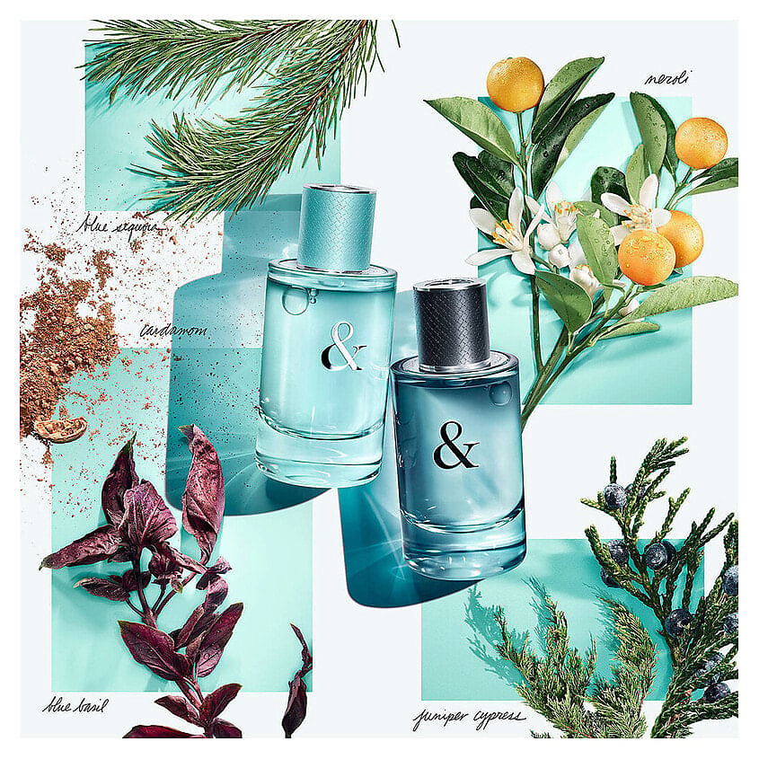 TIFFANY & CO Парфюмерная вода Tiffany & Love For Her, 50 мл купить