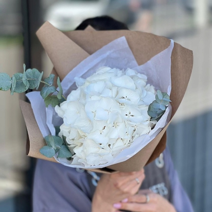 KIWIGIFTS Букет цветов живые Гортензия, Эвкалипт – фото 1