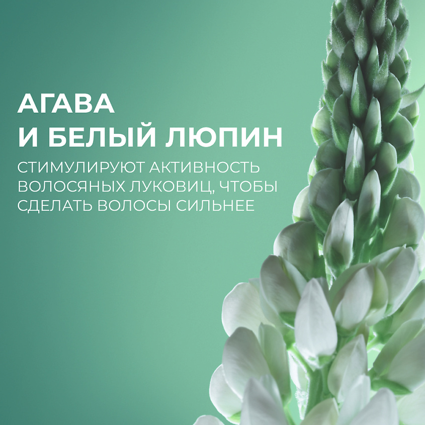 YVES ROCHER Шампунь против выпадения волос с белым люпином - без сульфатов - для ослабленных волос – фото 11