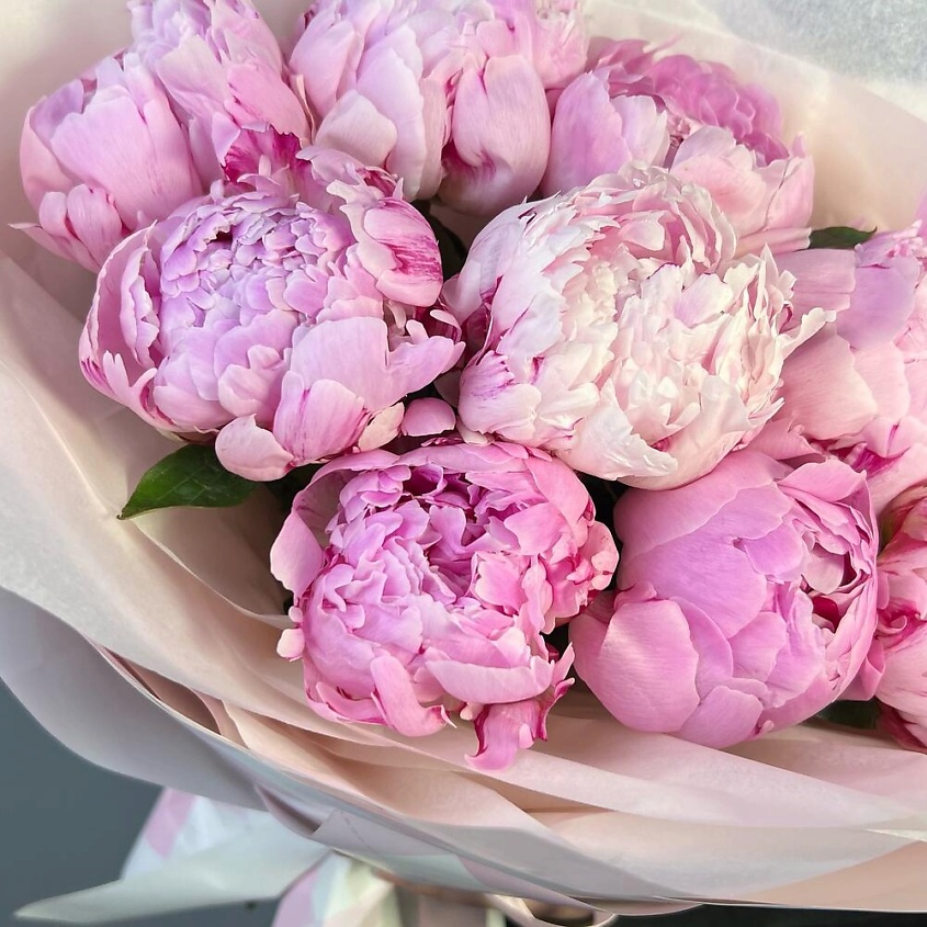 FLORES Розовые пионы Сара Бернар в стильном оформлении (9 пионов) – фото 3
