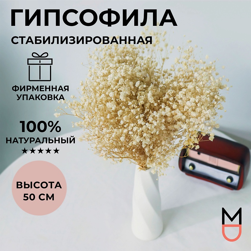 MANDARIN DECOR Букет из сухоцветов декоративные цветы набор для декора – фото 7