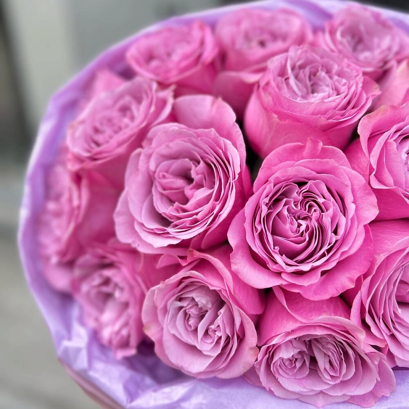 FLORES 15 пионовидных пышных розовых роз QUEENS CROWN в упаковке – фото 4