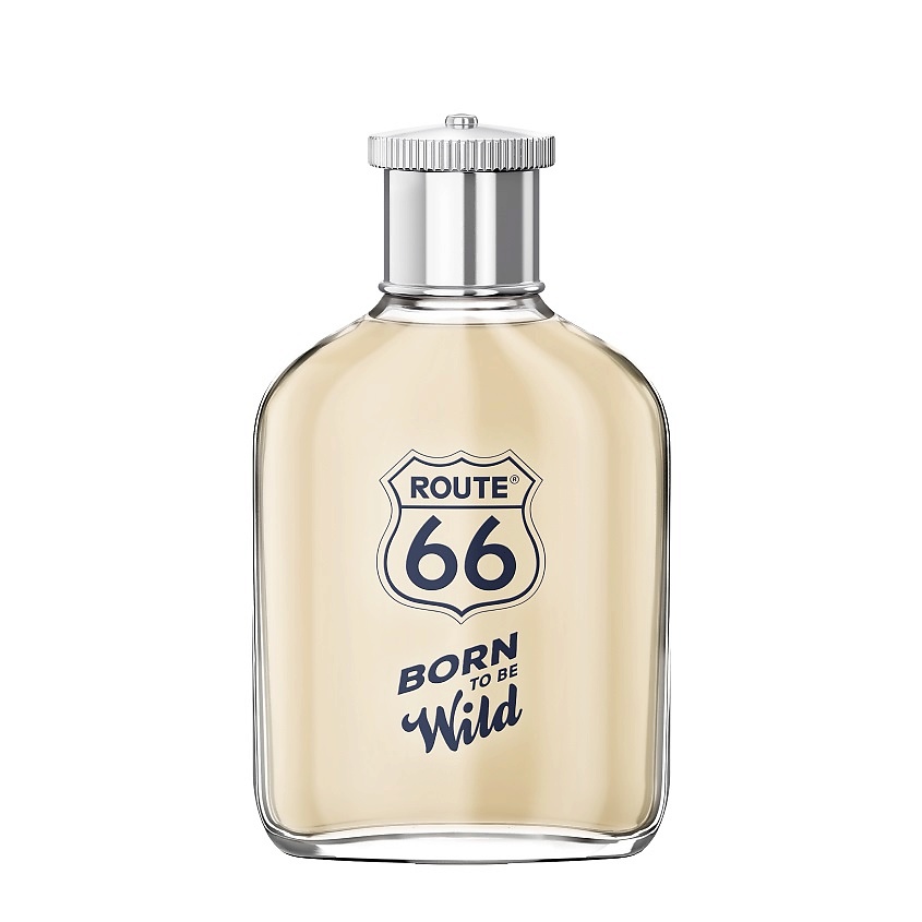 ROUTE 66 Born To Be Wild – фото 1