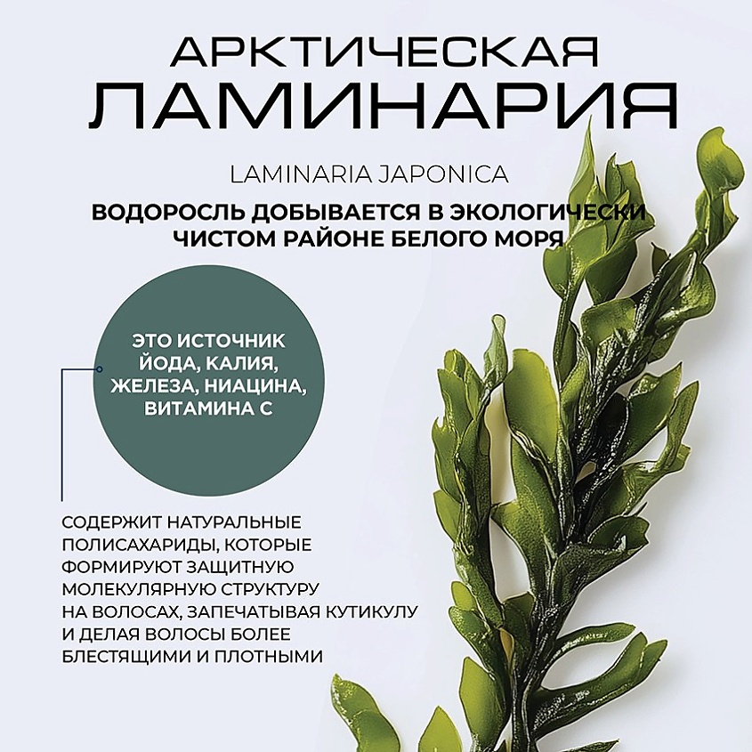 LAMINARIA EXPERT BY RUSTEM MUSTAFIN Увлажняющая маска для волос с эффектом ламинирования – фото 12