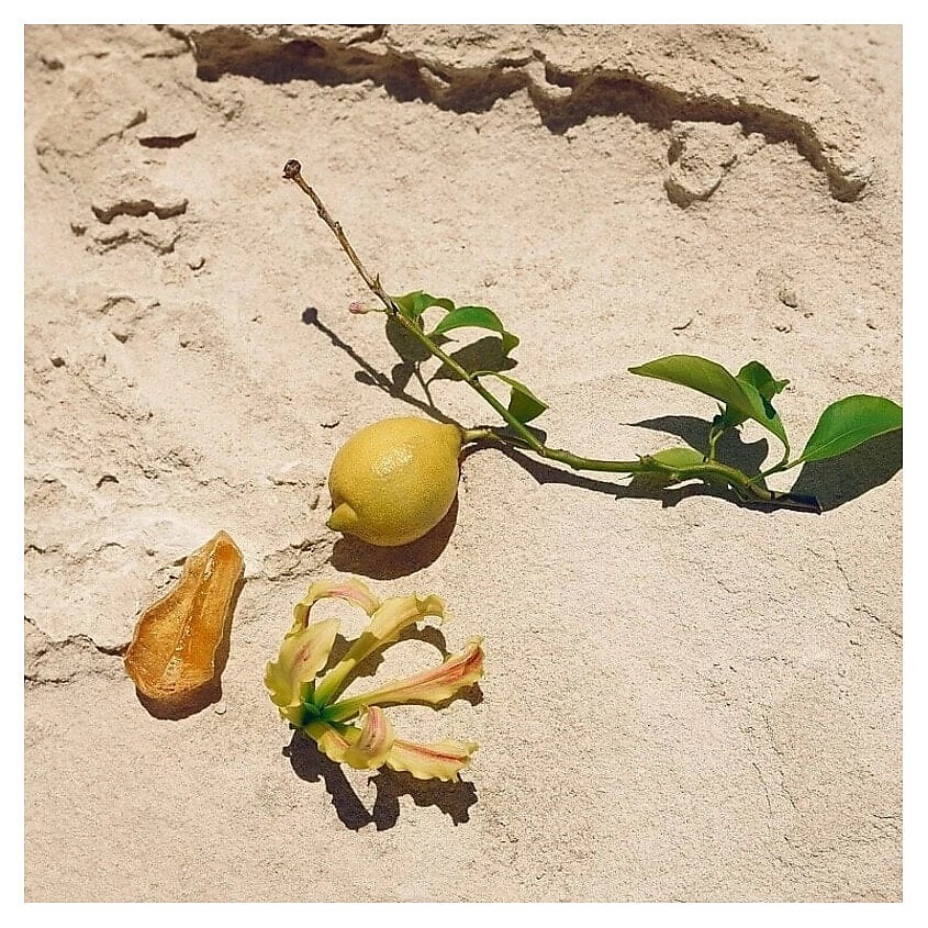 JIL SANDER Туалетная вода Sun, 30 мл – фото 4