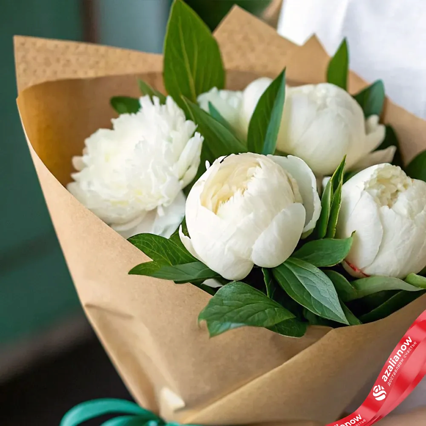 AUX_e0bd1577-a74b-4d31-8d33-55935c6a6f2e