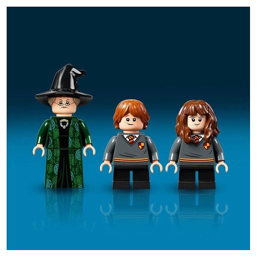LEGO Конструктор Harry Potter Учёба в Хогвартсе: Урок трансфигурации – фото 3